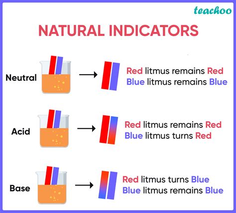 What is the Difference Between Red and Blue Litmus Paper.